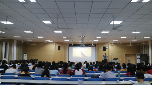 IMG_3838 IMG_3838